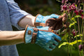  Gartenhandschuhe "Gatsby", S/M (1 Paar)