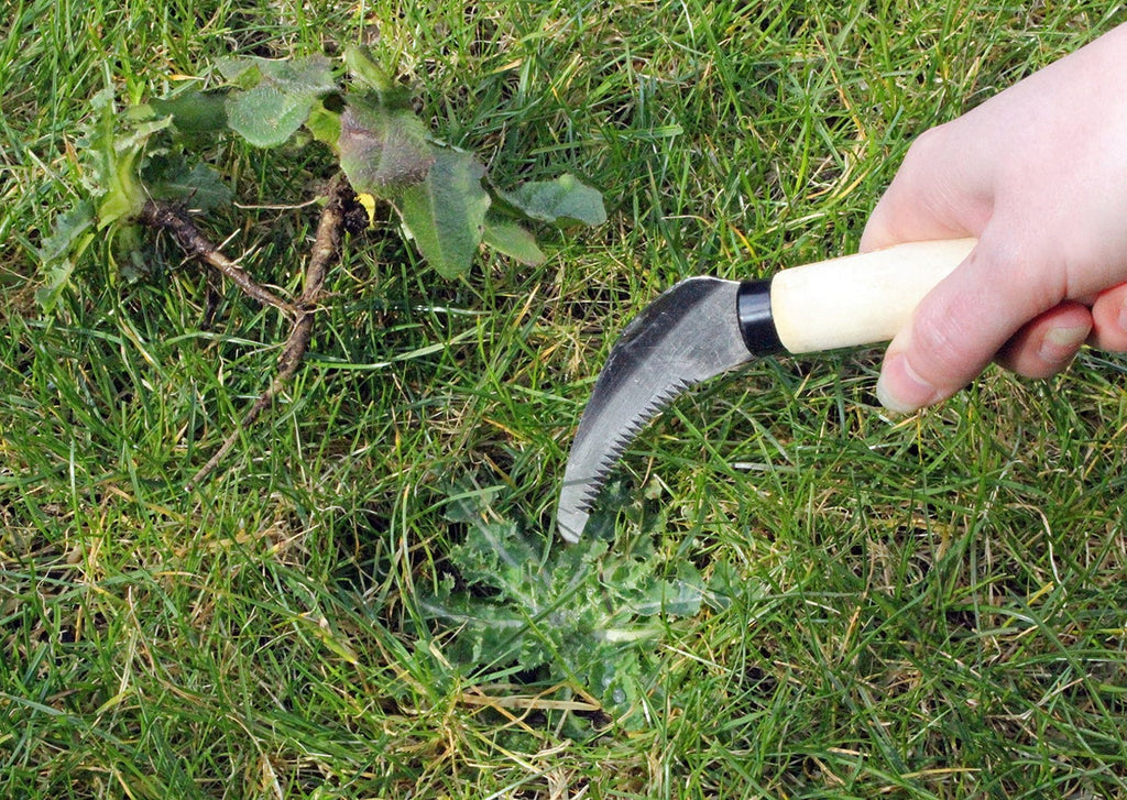  Gezacktes Unkrautmesser