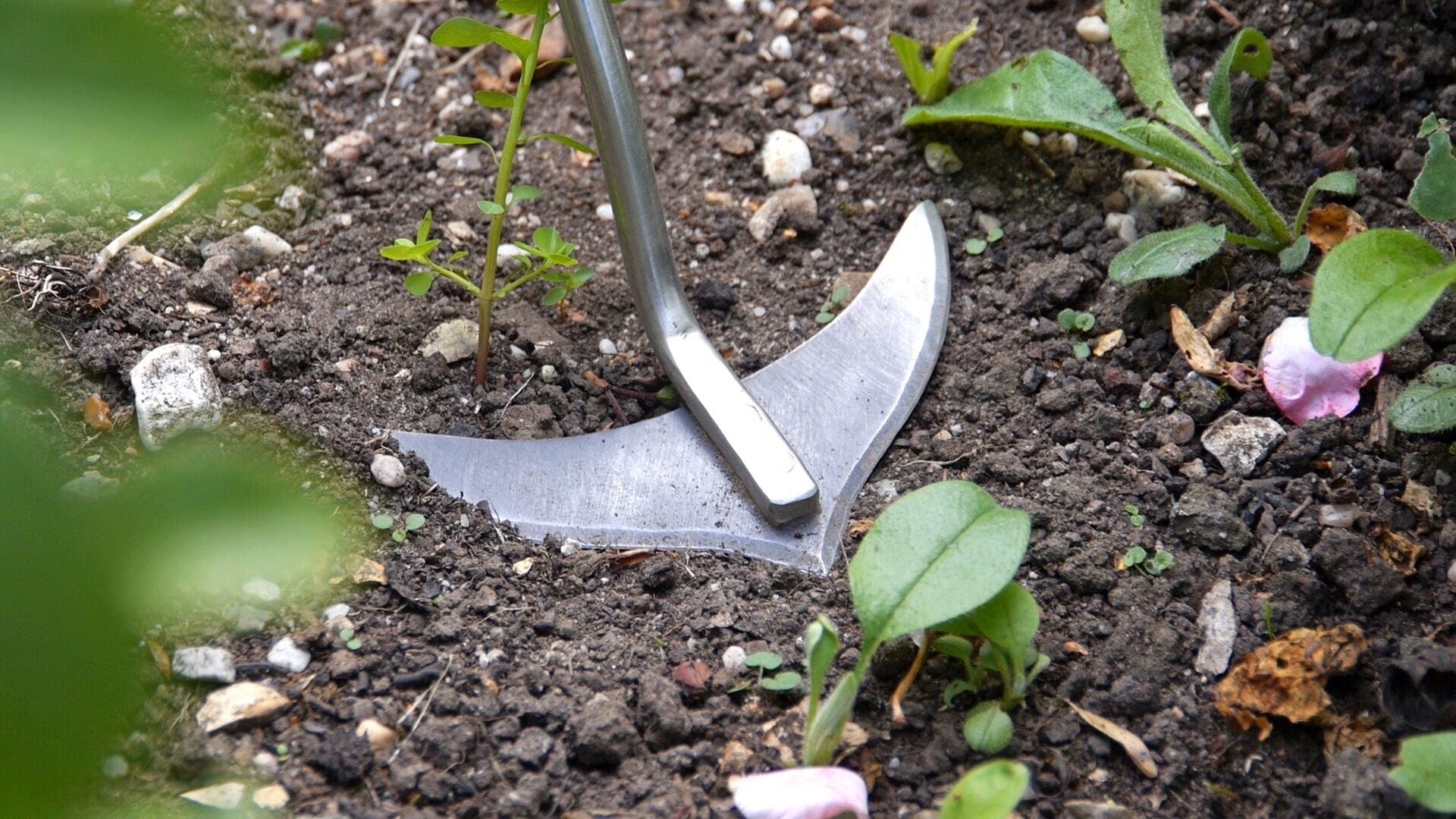  Unkraut Harke "Weed Slice"