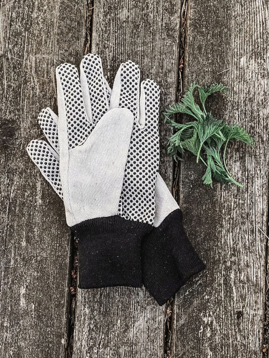  Gartenhandschuhe Basic, M (1 Paar)