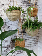  Blumenampel Korb Natur, H14/D18 Cm