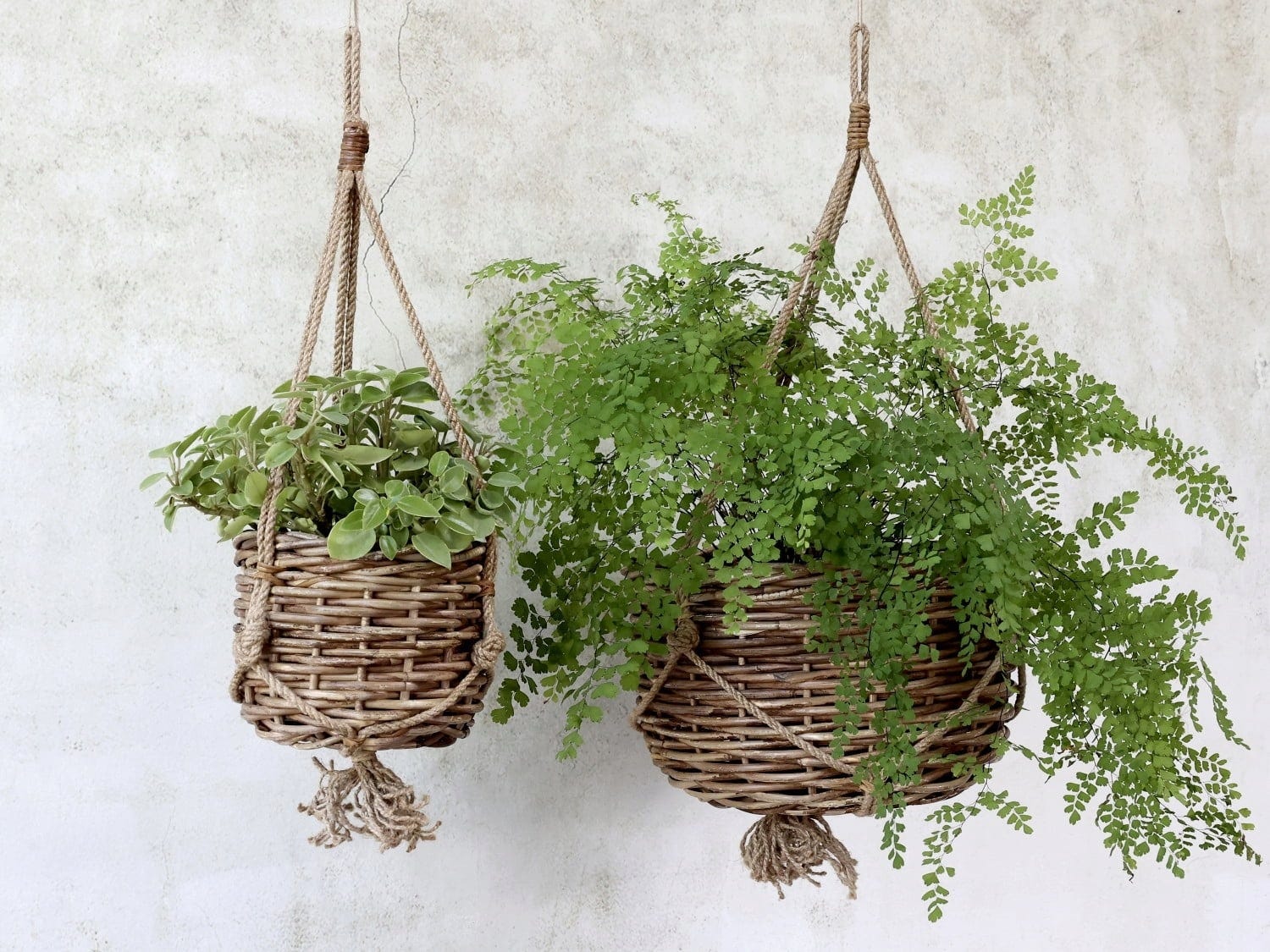  Korb-Blumenampel, H 22 Cm Ø 35 Cm