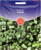  Keimsprossen "Rucola", 30 G
