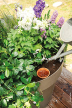  AquaDO - Olla Bewässerungsgefäß H 15 Cm - 6er Set