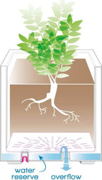  Pflanztopf "Millenium" 53 Cm Mit Wasserresevoir , Anthrazit