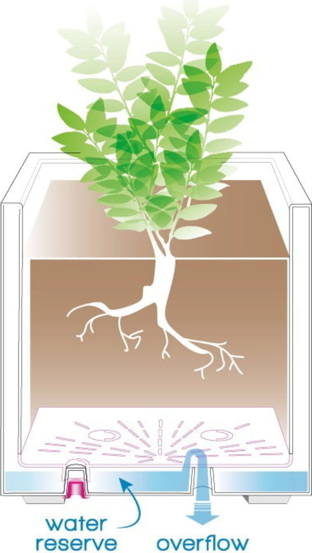  Pflanztopf "Quadro Millenium" Mit Wasserreservoir - Anthrazit, 39 Cm