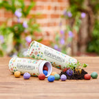  Blumenmurmeln "bunte"