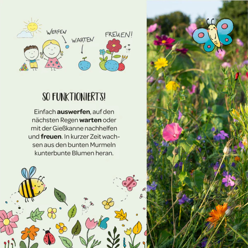  Blumenmurmeln "Naturabenteuer"