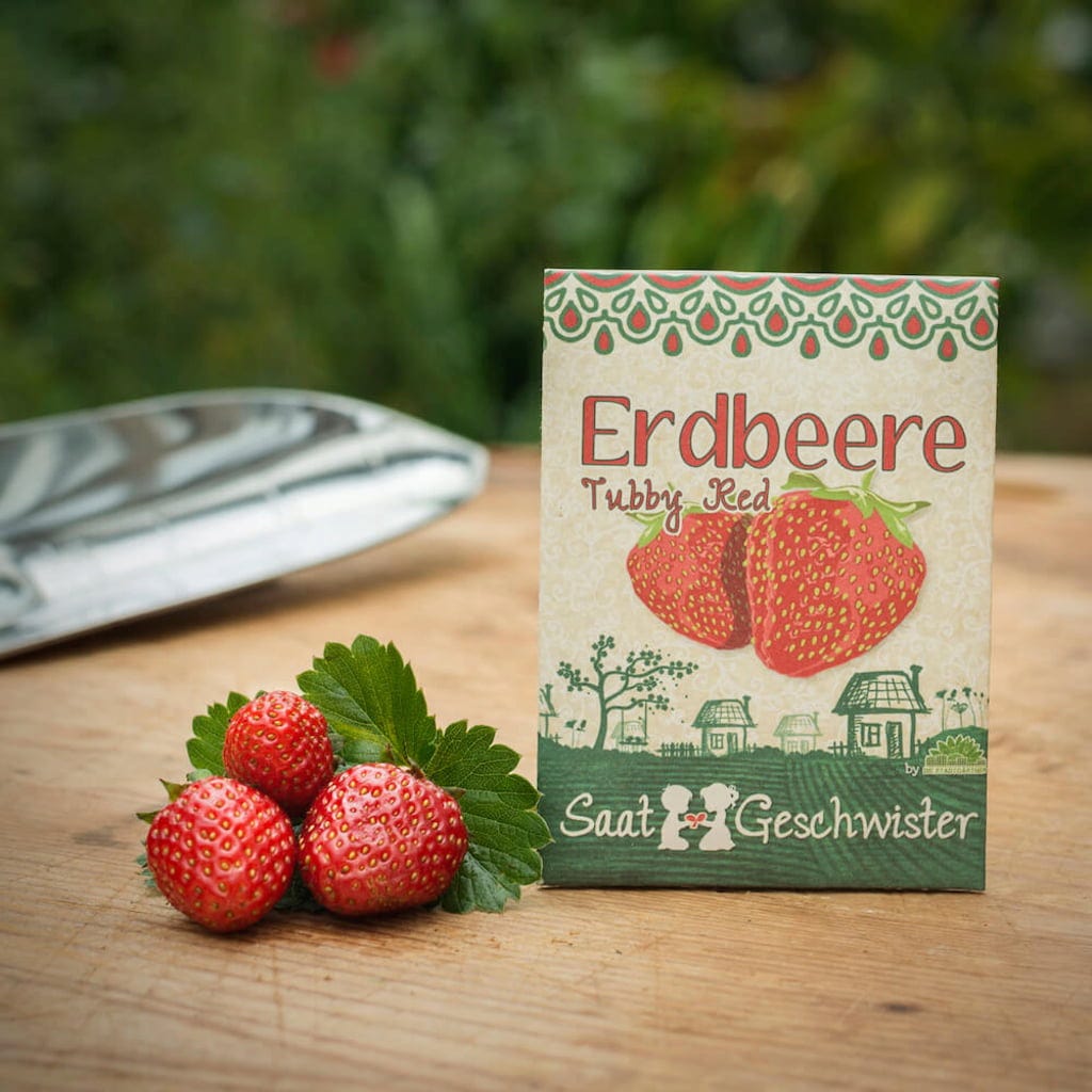  Erdbeere "Tubby Red"