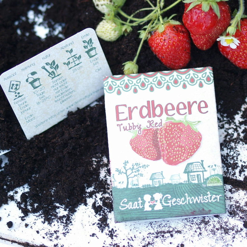  Erdbeere "Tubby Red"