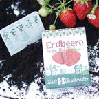  Erdbeere "Tubby Red"