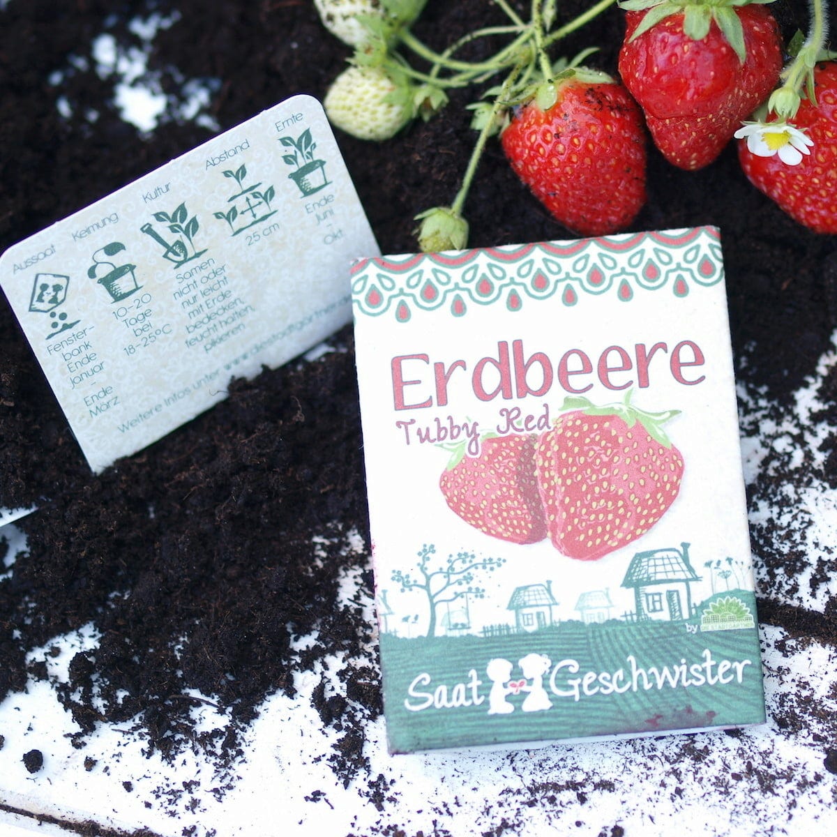 Erdbeere "Tubby Red"