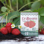  Erdbeere "Tubby Red"