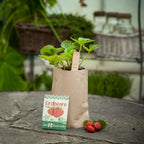  Minigarten Erdbeere "Tubby Red"