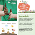  Samenbombe "Wildblumen"