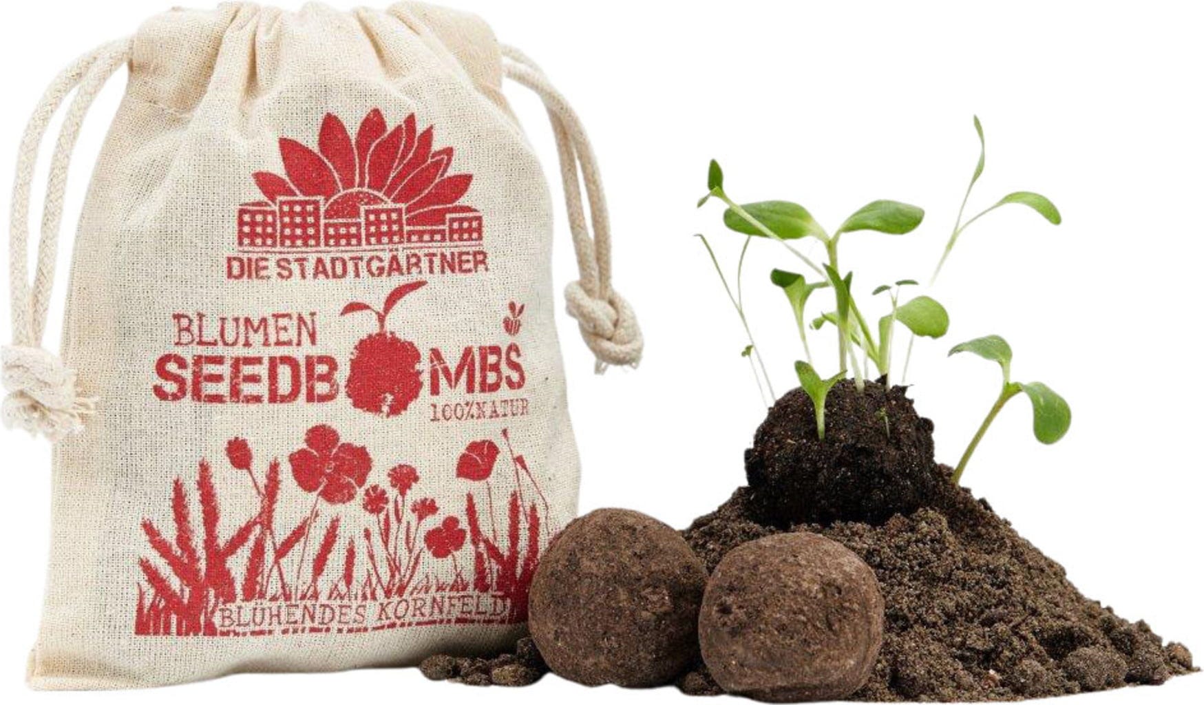  Samenbomben "Blühendes Kornfeld", 8 Stück