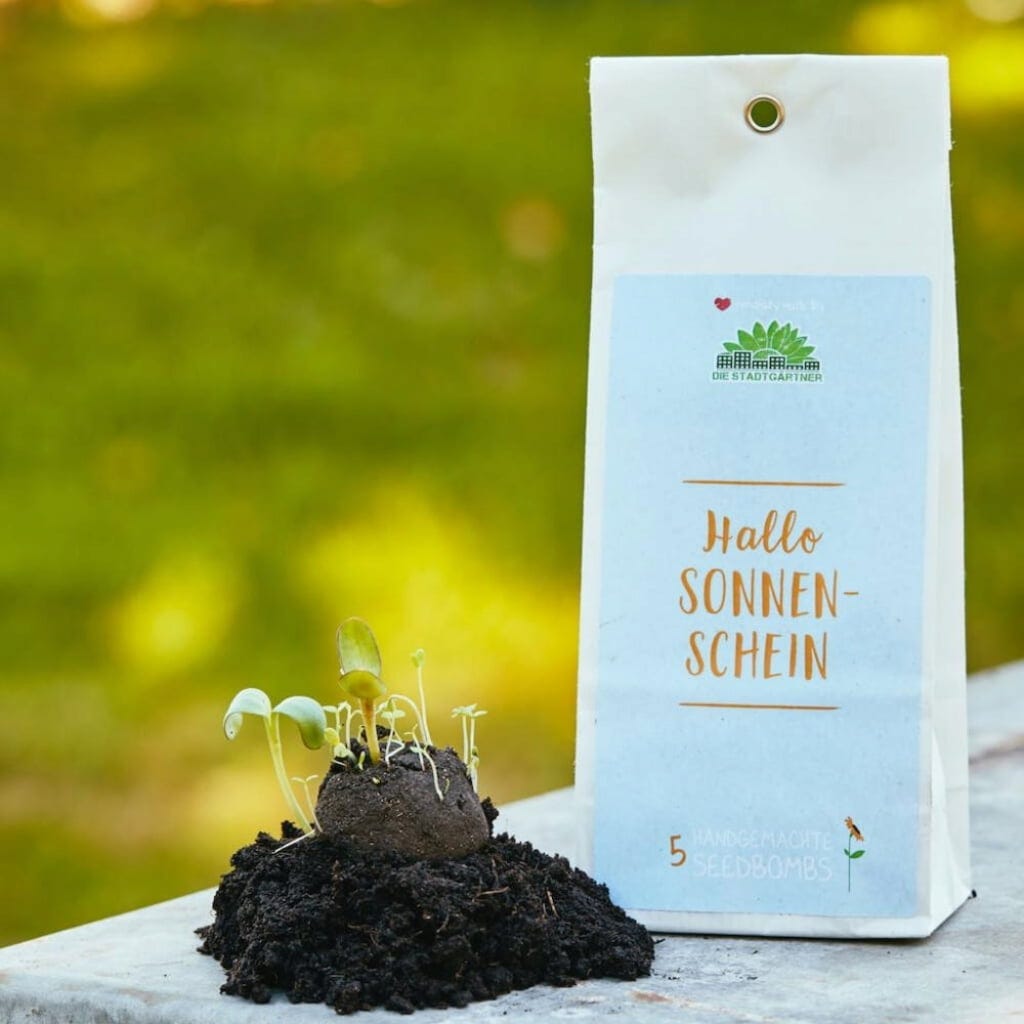 Samenbomben "Hallo Sonnenschein"