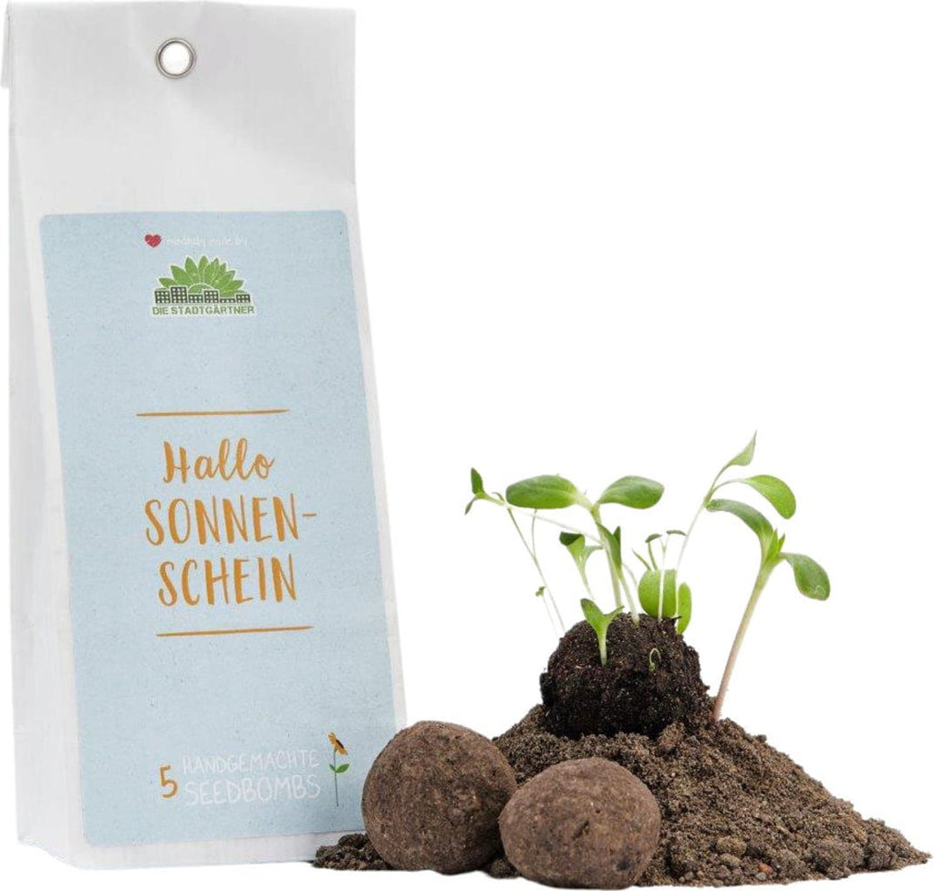  Samenbomben "Hallo Sonnenschein"