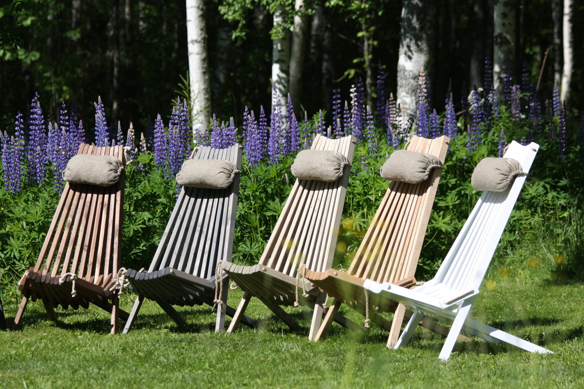  EcoChair Birke, Weiß Lackiert