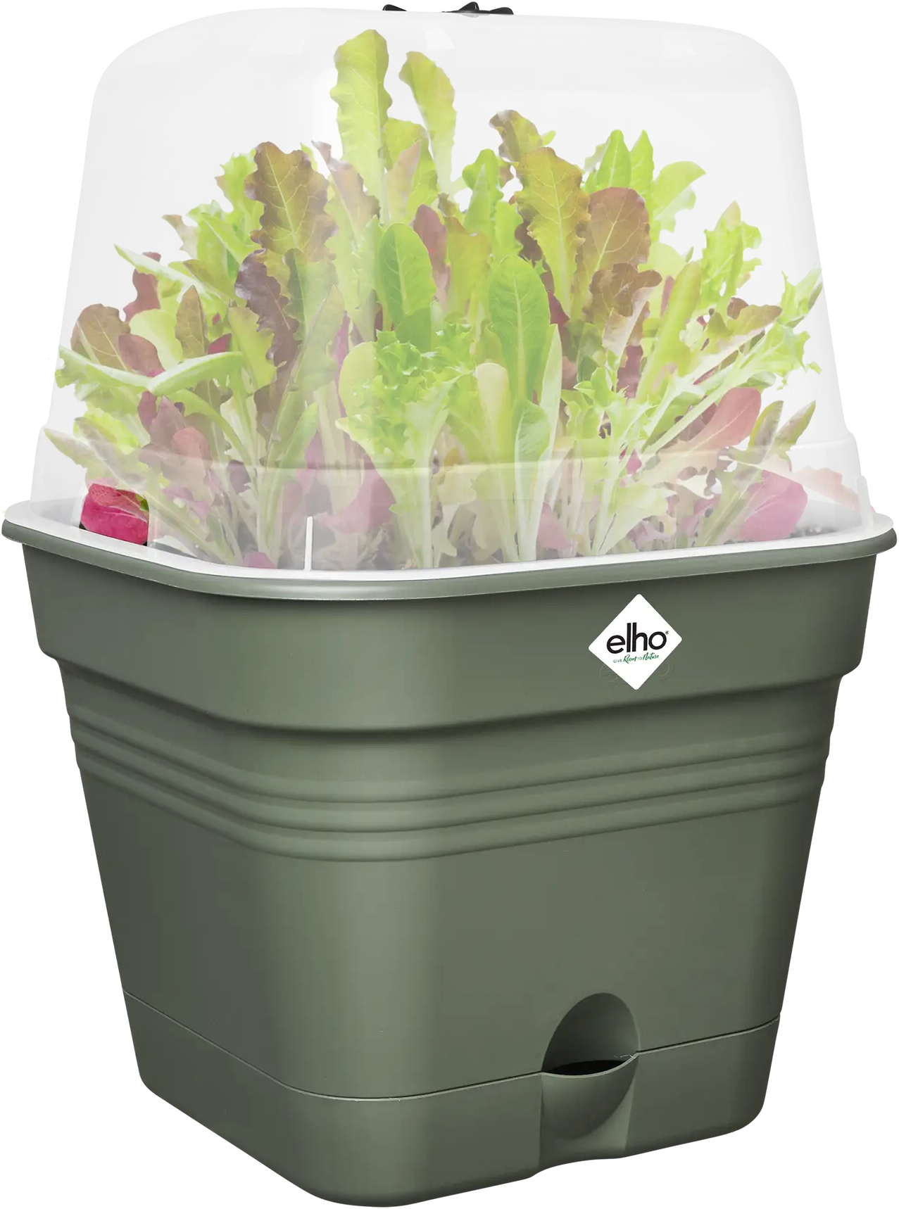 Elho Anzuchttopf Set Green Basics 20cm - Quadrat, Laubgrün