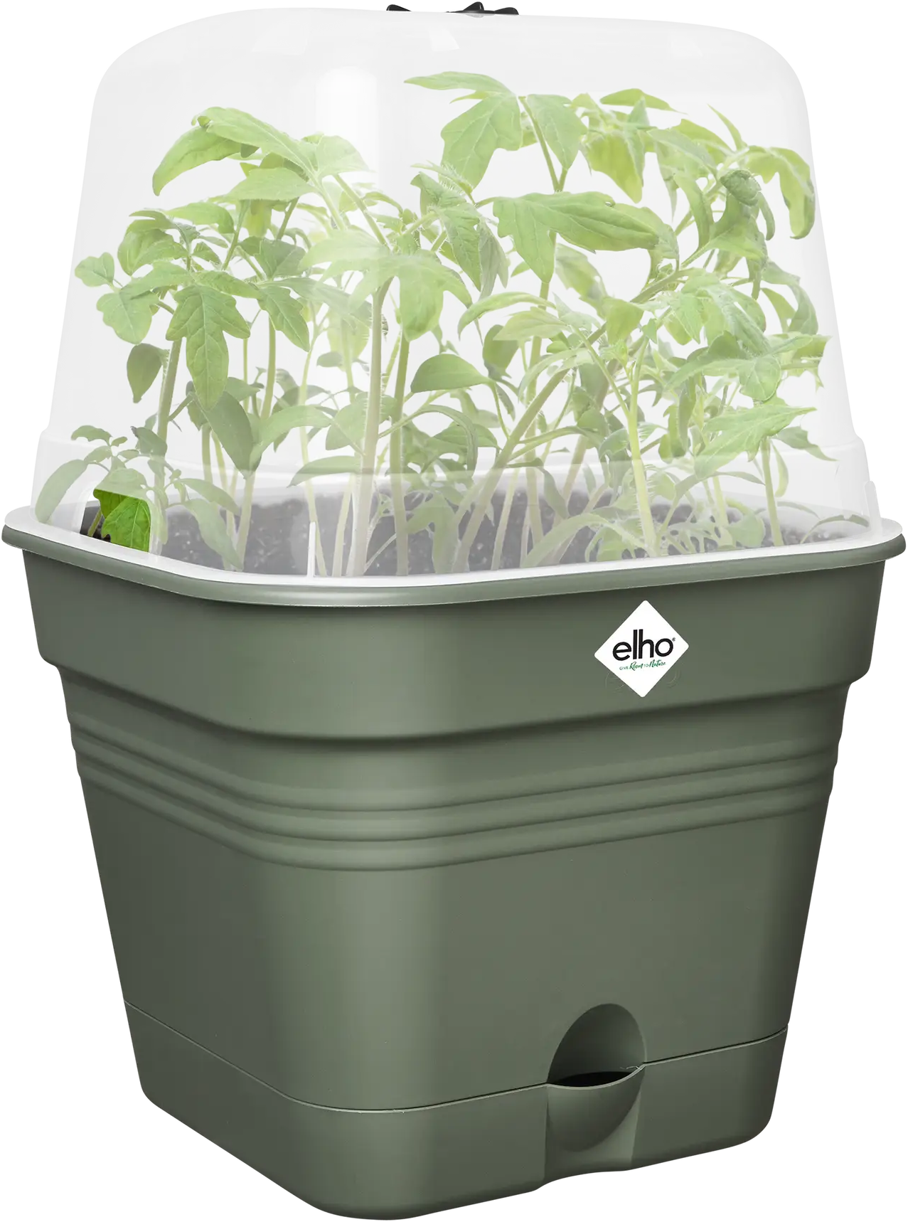 Elho Anzuchttopf Set Green Basics 20cm - Quadrat, Laubgrün