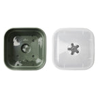 Elho Anzuchttopf Set Green Basics 25cm - Quadrat, Laubgrün