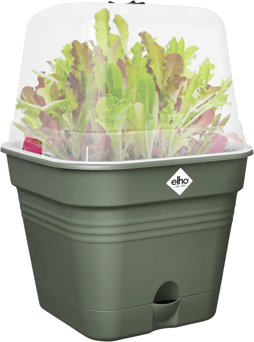 Elho Anzuchttopf Set Green Basics 30cm - Quadrat, Laubgrün