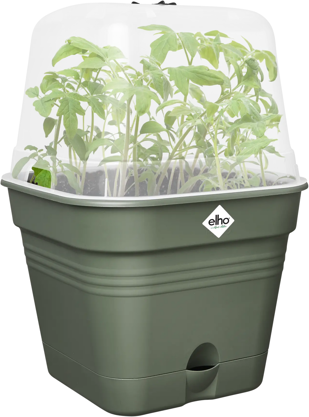 Elho Anzuchttopf Set Green Basics 30cm - Quadrat, Laubgrün