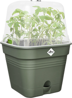 Elho Anzuchttopf Set Green Basics 30cm - Quadrat, Laubgrün