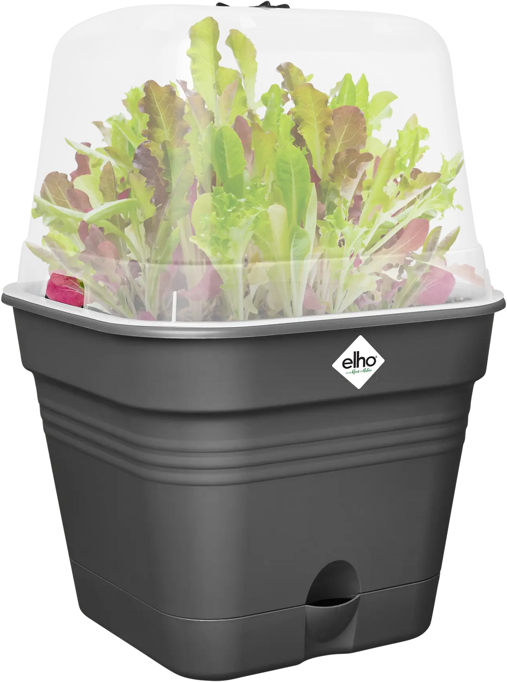 Elho Anzuchttopf Set Green Basics 35cm - Quadrat, Living Schwarz