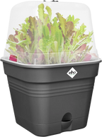 Elho Anzuchttopf Set Green Basics 35cm - Quadrat, Living Schwarz