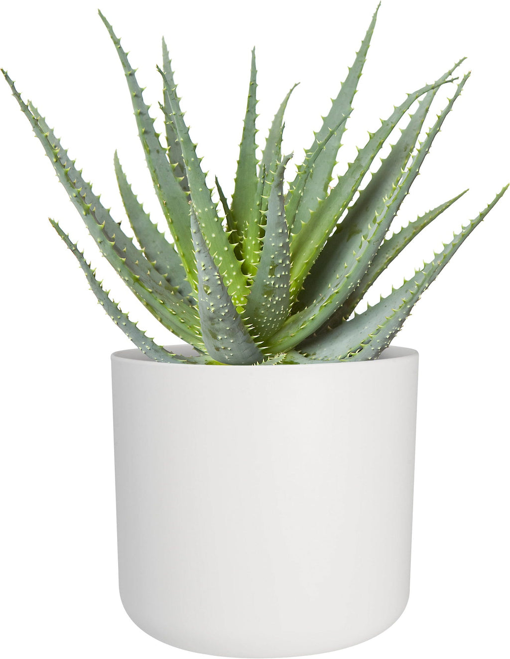 Elho B.for Soft Rund Weiß, Ø 14 Cm