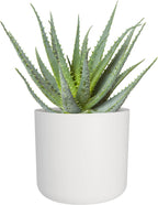Elho B.for Soft Rund Weiß, Ø 14 Cm