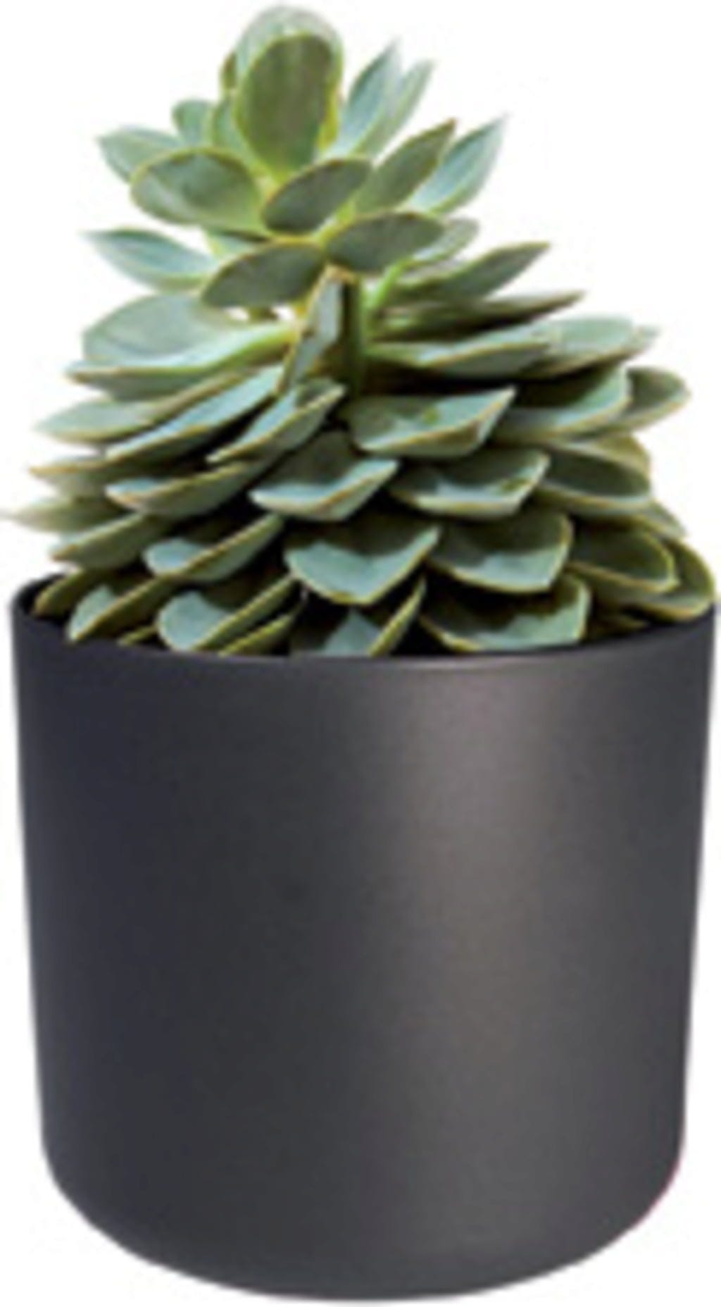 Elho B.for Soft Rund Anthrazit, Ø 22 Cm