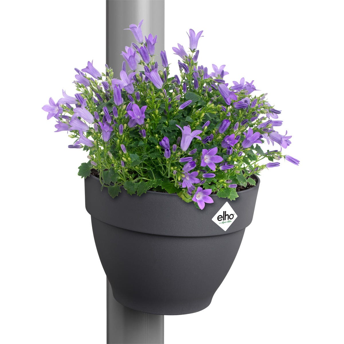 Elho Regenfallrohrpflanzgefäß Vibia Campana 22cm, Anthrazit