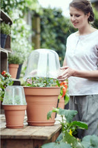 Elho Green Basics Anzucht Haus Rund, 30 Cm