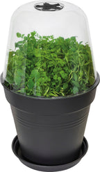 Elho Green Basics Anzucht Haus Rund, 30 Cm