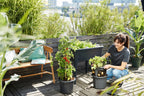 Elho Green Basics Kartoffeltopf 33 Cm, Schwarz