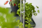 Elho Green Basics Light Garden