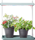 Elho Green Basics Light Garden