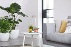 Elho Green Basics Pflanzenbeleuchtung