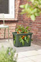 Elho Green Basics Stack & Grow Large, Laubgrün