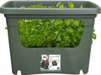 Elho Green Basics Stack & Grow Large, Laubgrün
