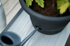 Elho Green Basics Tomatentopf 33 Cm, Schwarz