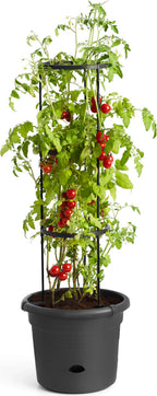 Elho Green Basics Tomatentopf 33 Cm, Schwarz