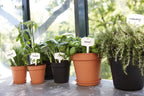 Elho Green Basics Untersetzer "baumwolle", 34 Cm