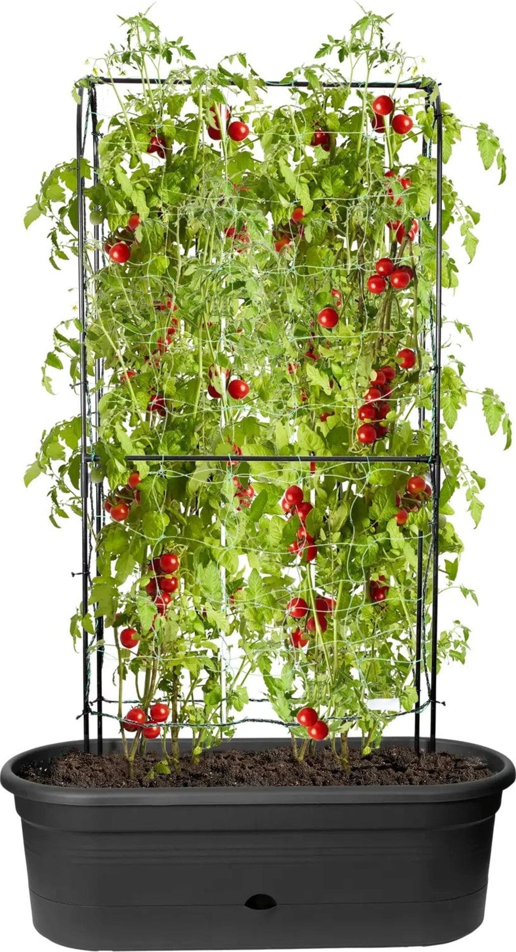 Elho Green Basics Veggie Wall 80 Cm