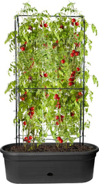 Elho Green Basics Veggie Wall 80 Cm