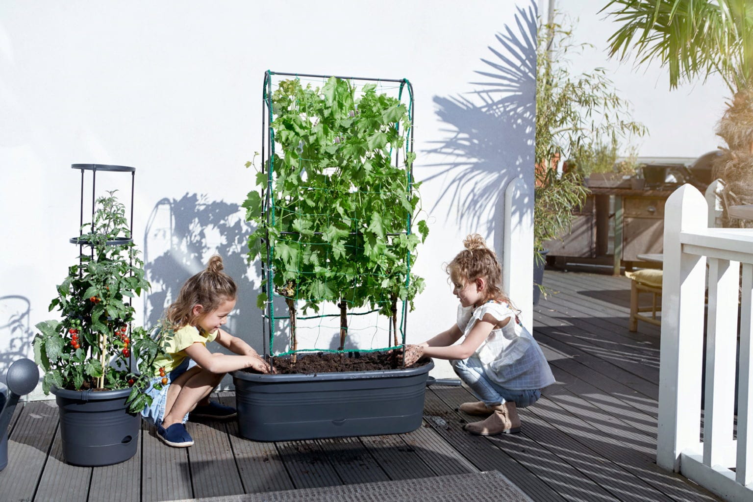 Elho Green Basics Veggie Wall 80 Cm