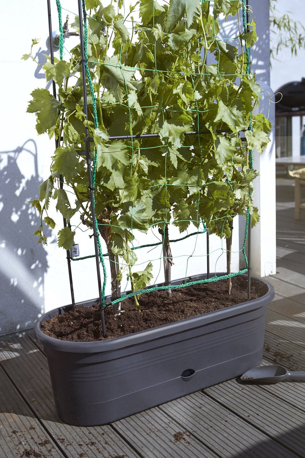 Elho Green Basics Veggie Wall 80 Cm